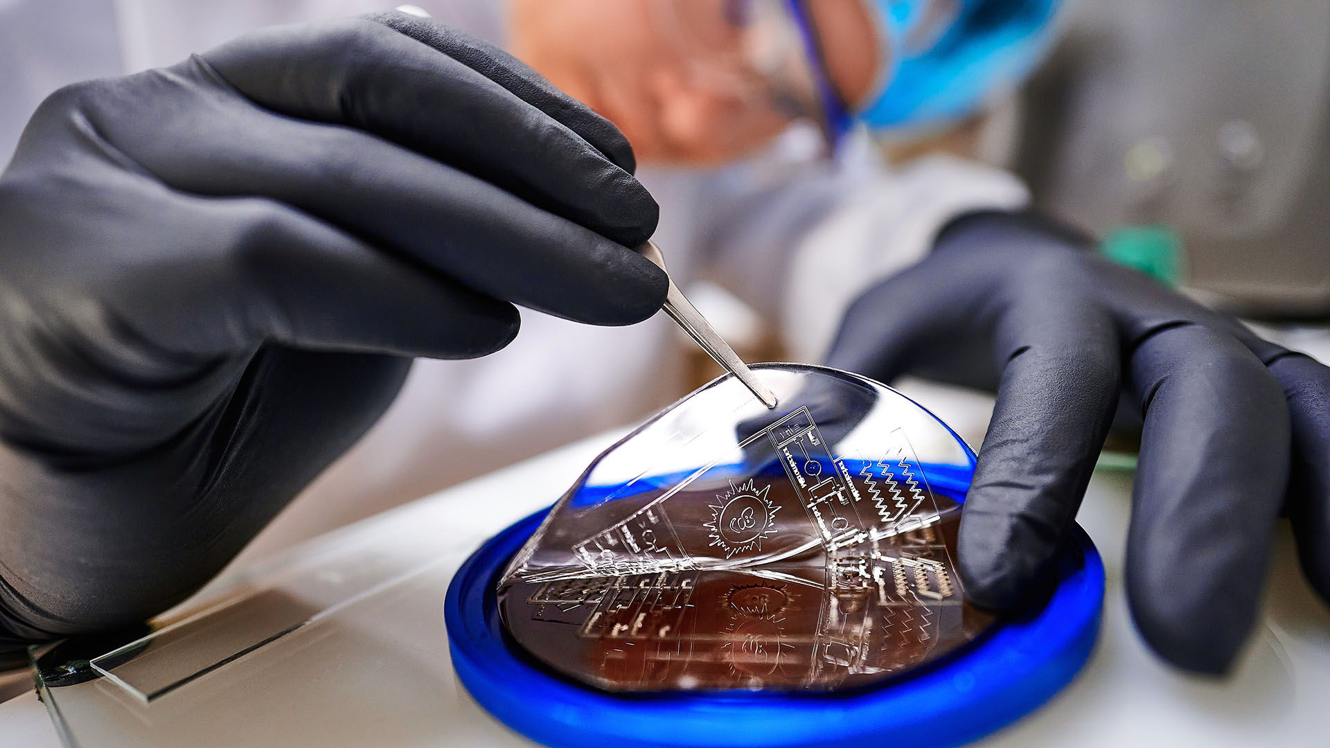 Ein abgeformter Wafer aus PDMS wird von der Gießform gelöst.